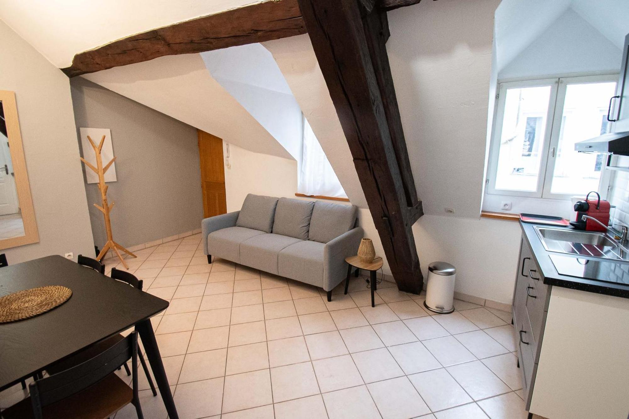 Residence Le Zola Compose De 3 Appartements Distincts En Hyper Centre De Dijon Avec Wifi Dış mekan fotoğraf