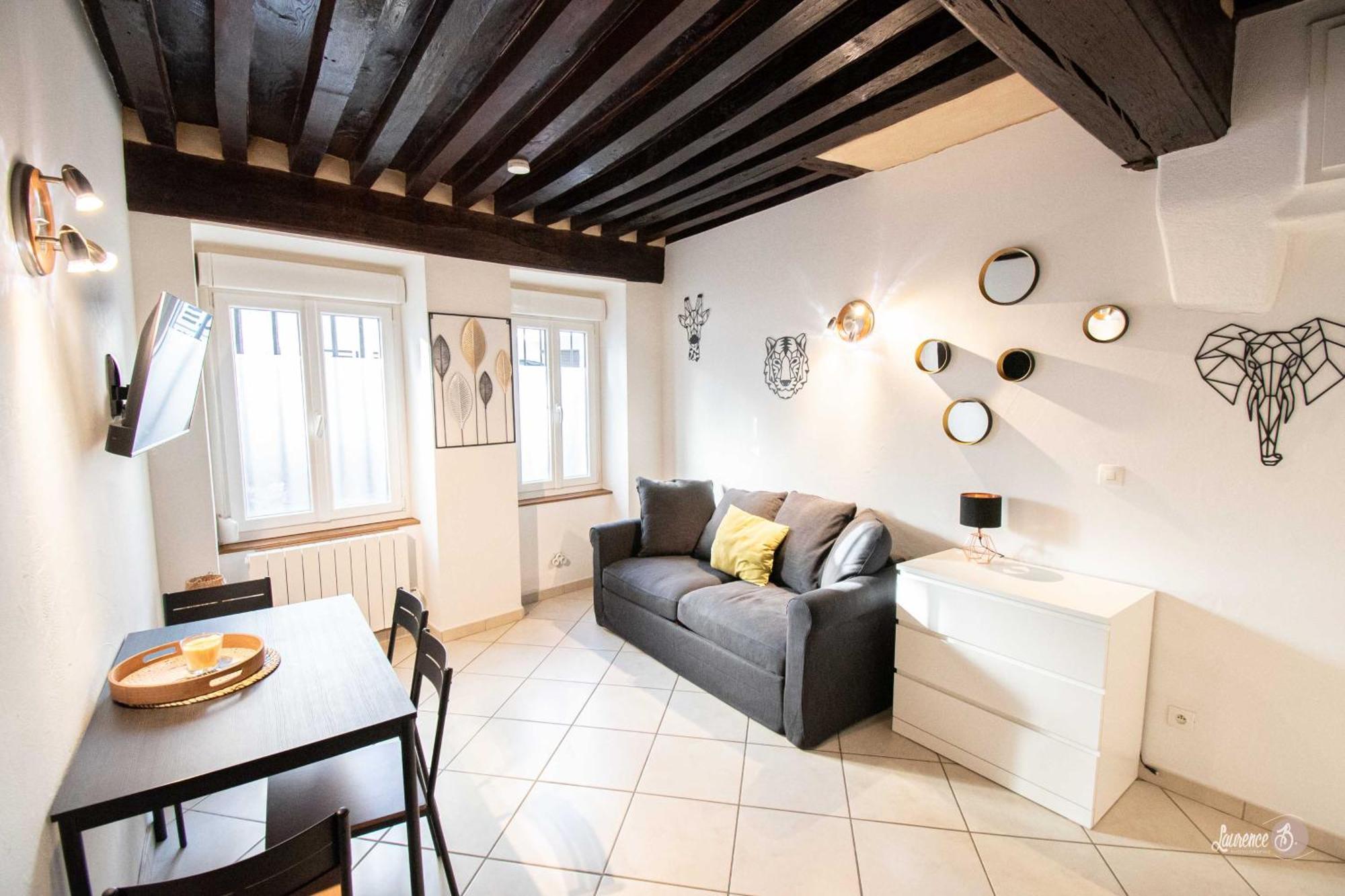 Residence Le Zola Compose De 3 Appartements Distincts En Hyper Centre De Dijon Avec Wifi Dış mekan fotoğraf