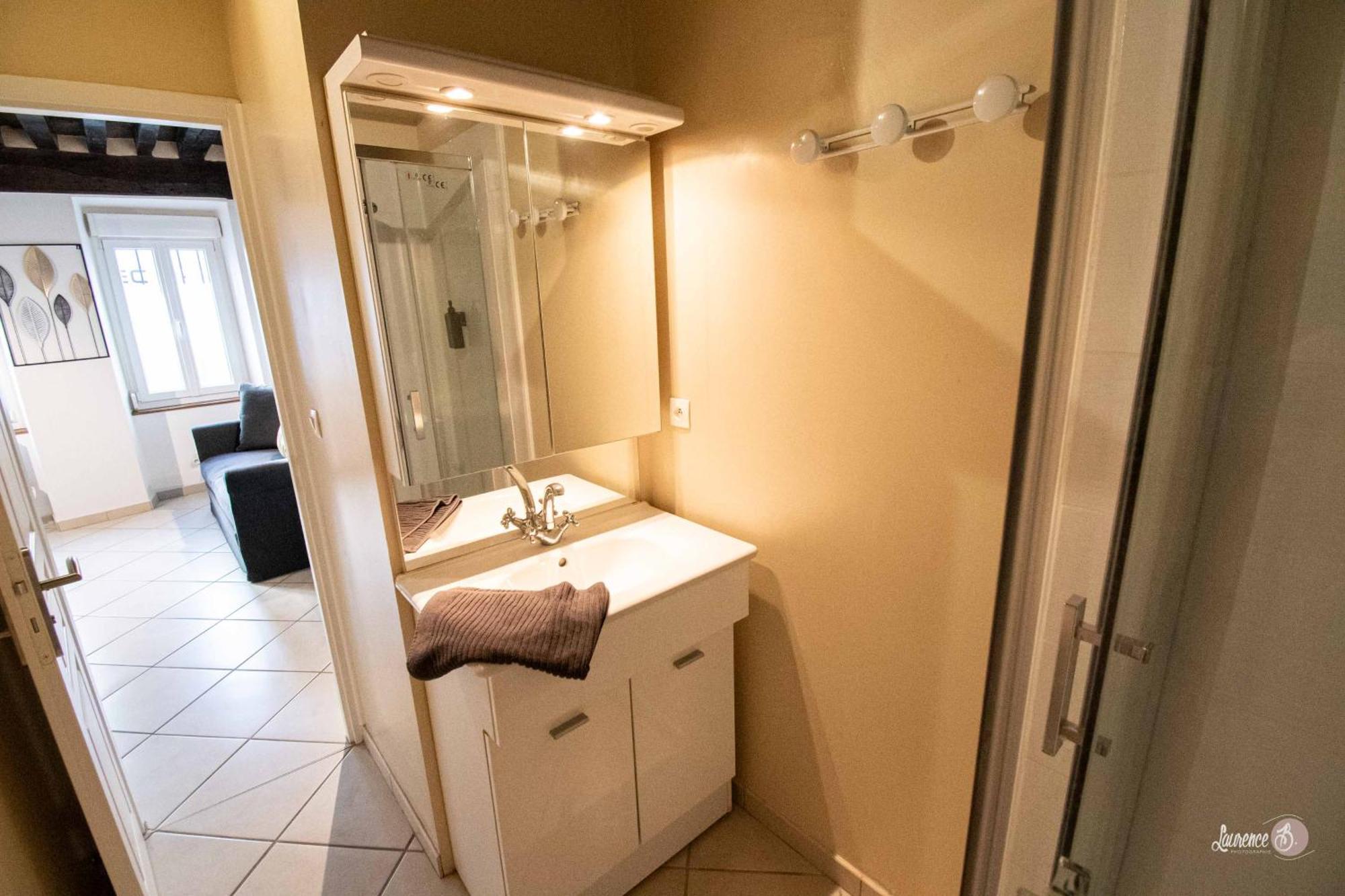 Residence Le Zola Compose De 3 Appartements Distincts En Hyper Centre De Dijon Avec Wifi Dış mekan fotoğraf