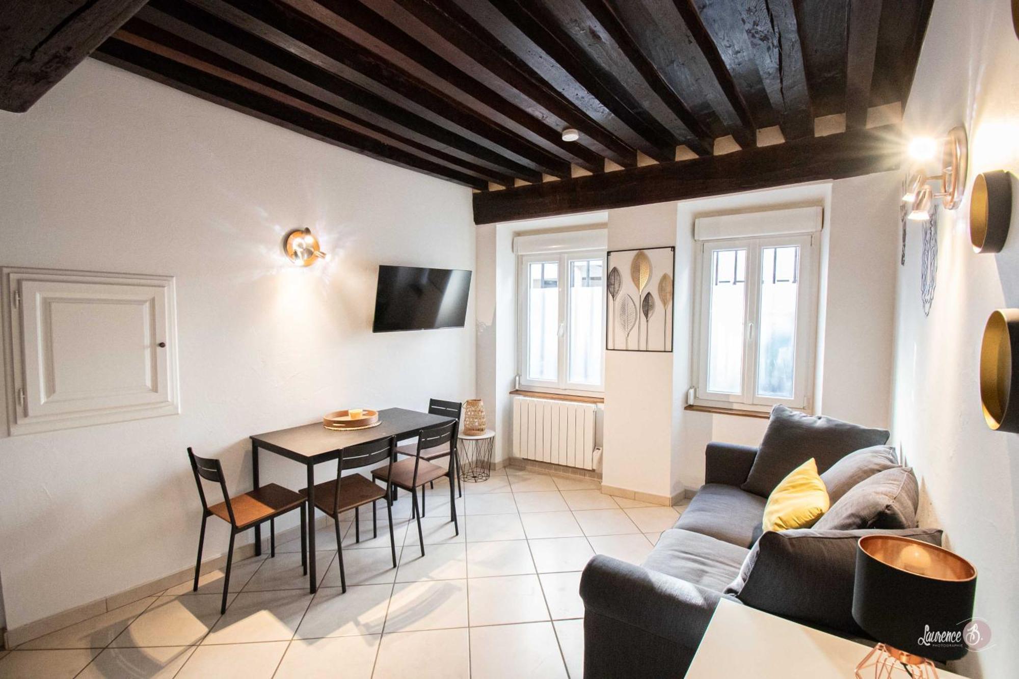 Residence Le Zola Compose De 3 Appartements Distincts En Hyper Centre De Dijon Avec Wifi Dış mekan fotoğraf