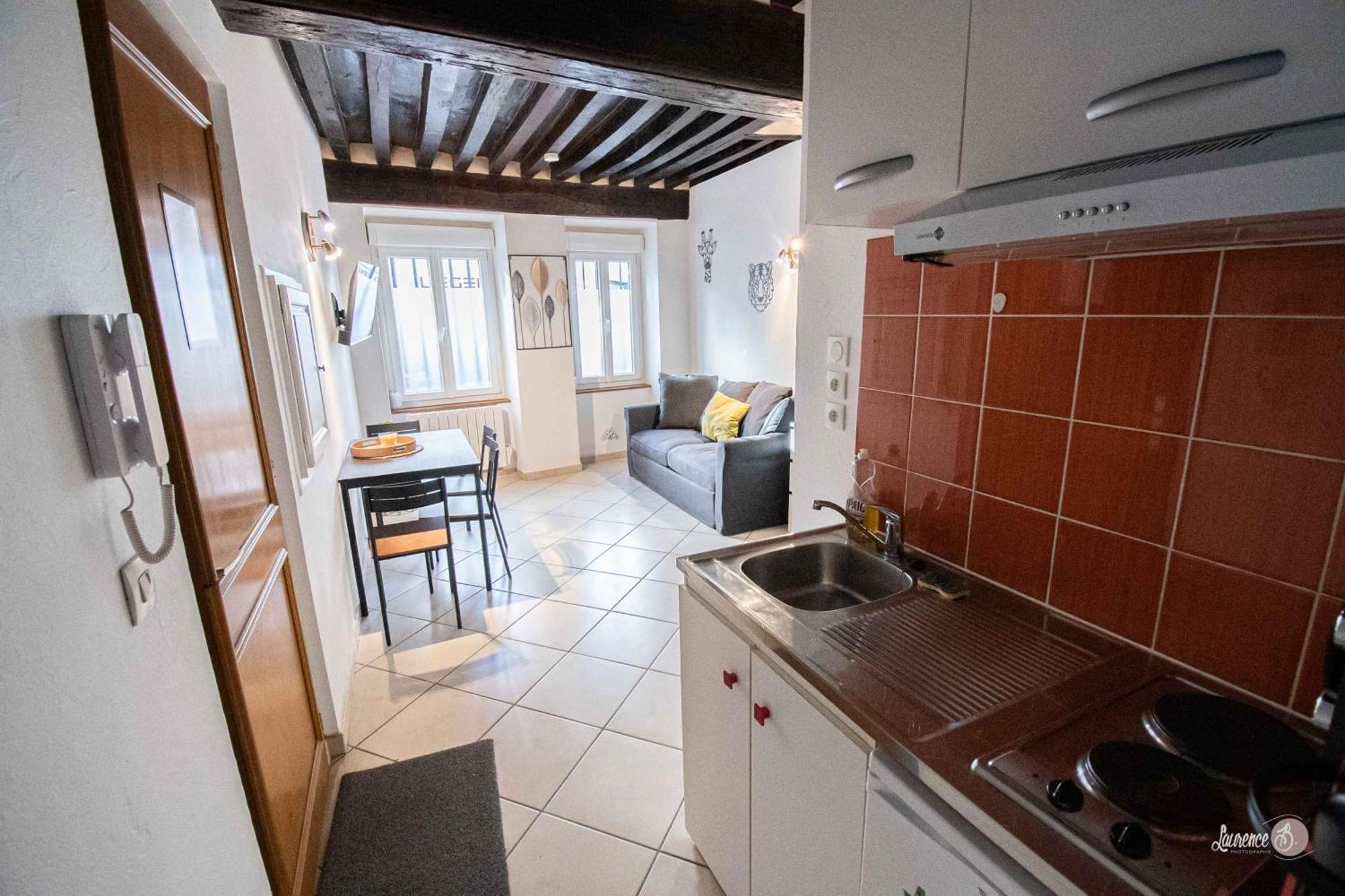 Residence Le Zola Compose De 3 Appartements Distincts En Hyper Centre De Dijon Avec Wifi Dış mekan fotoğraf