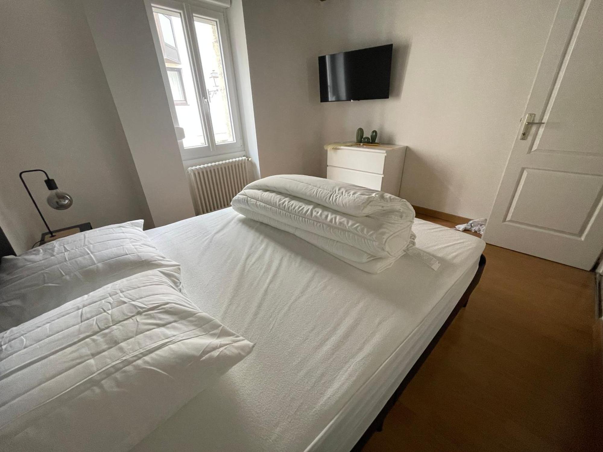 Residence Le Zola Compose De 3 Appartements Distincts En Hyper Centre De Dijon Avec Wifi Dış mekan fotoğraf